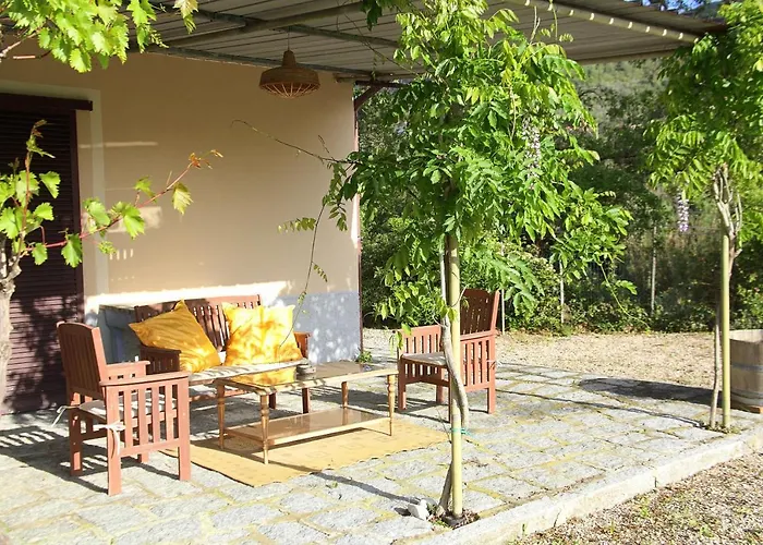 Dei Girasoli Farm stay *